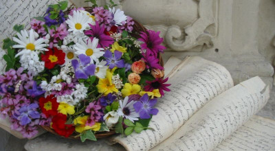 Logo del Maggioinfiore